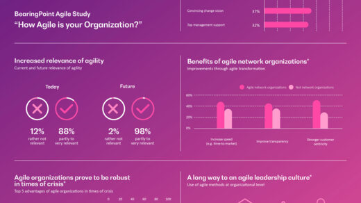 Agile Pulse 2020 Infographic