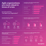 Agile Pulse 2020 Infographic