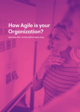 Download the Agile Pulse Study 2020