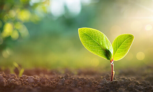 Talking beyond business podcast