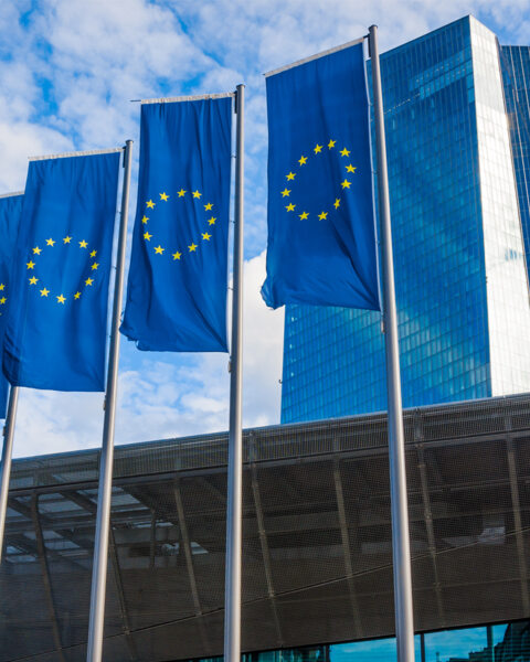 Fashion Retailer E-Invoicing Compliance Success