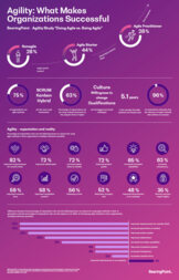 Agility infographic