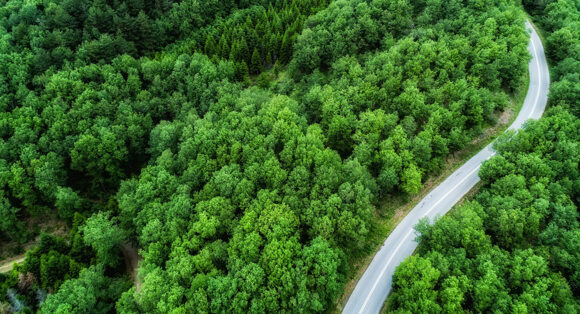 Lean for Green: utilize lean methods to reduce environmental waste