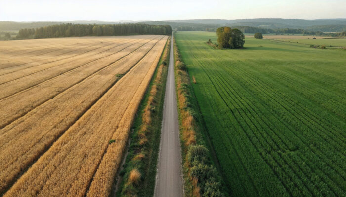 Environmental management