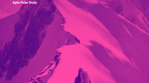 Agile Pulse study 2023
