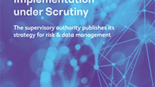 White paper: RDARR – BCBS 239 Implementation under Scrutiny