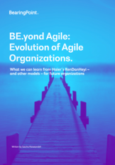 Beyond Agile white paper