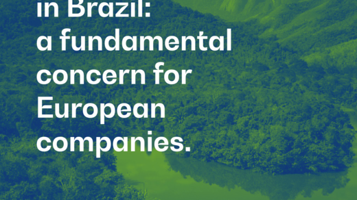 White paper: Biodiversity in Brazil