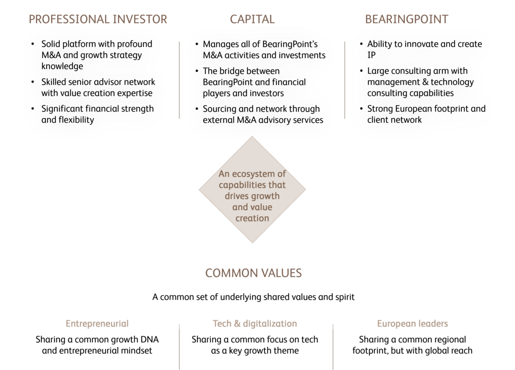 BearingPoint_Capitak_Professional_Investor
