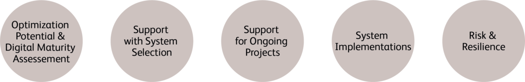 Treasury and risk management