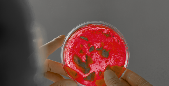 In the AI era, the survival of Chemicals & Life Sciences businesses depends on a cloud foundation