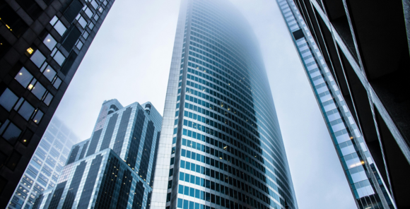 BearingPoint Capital Software Due Diligence Study 2025 